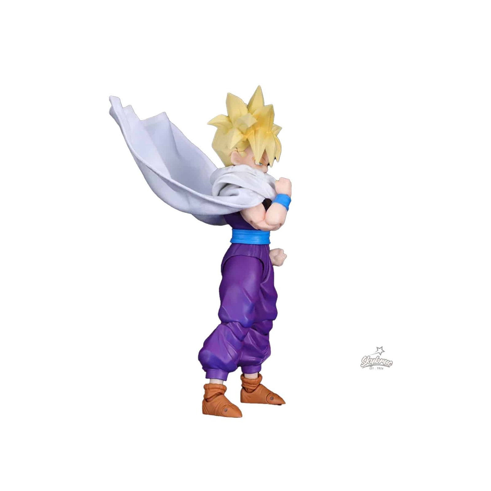 Dragon Ball Z Super Saiyan Gohan 5