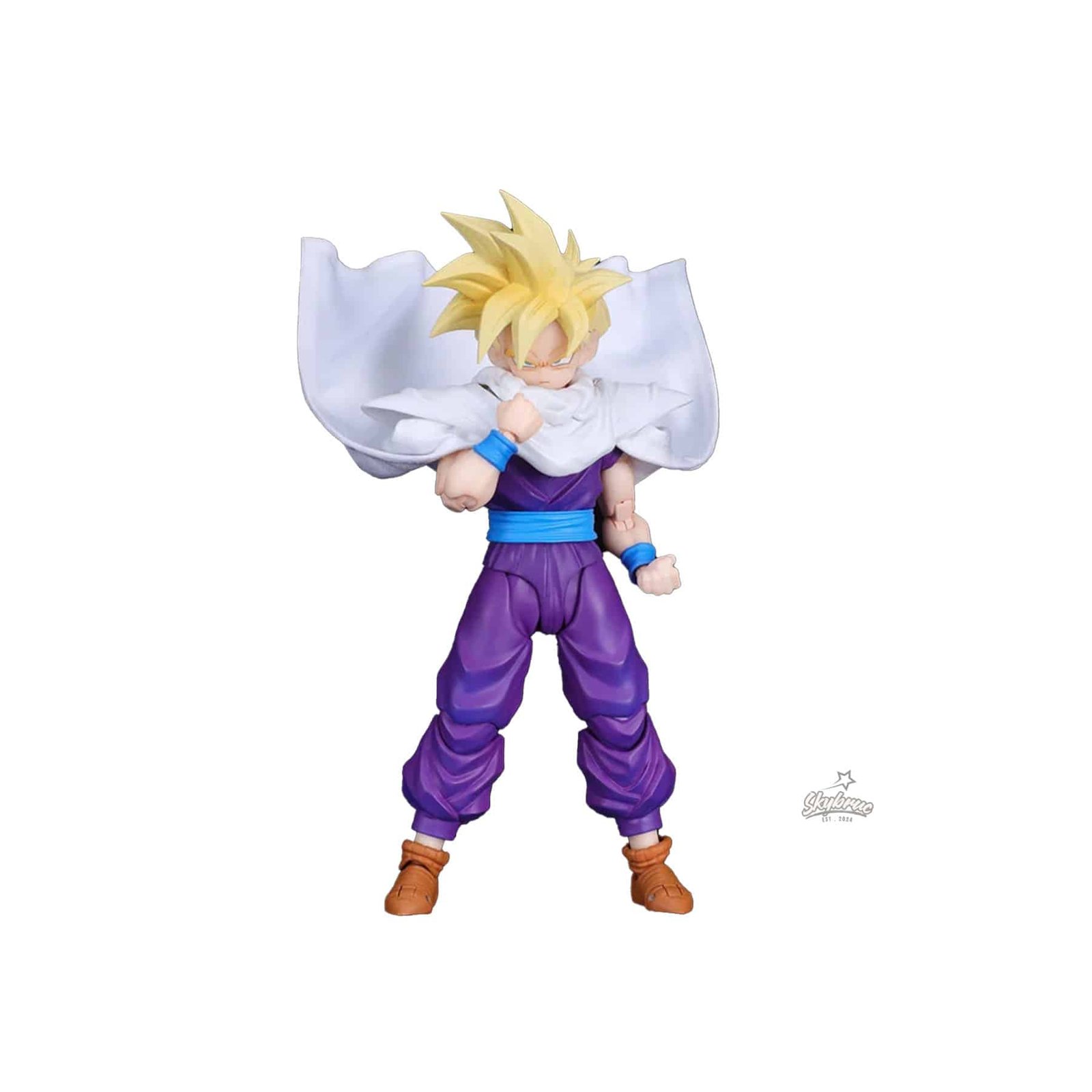 Dragon Ball Z Super Saiyan Gohan 8